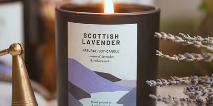Scottish Lavender, Organic Scented Candle | Ocoee House: Single Wick - Scottish Hampers