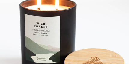 Wild Forest, Organic & Vegan Scented Candle | Ocoee House: Single Wick - Scottish Hampers