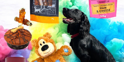 Pawfect Treat Hamper - Scottish Hampers