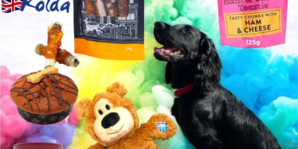 Pawfect Treat Hamper in aid of ROLDA UK - Scottish Store & Deli