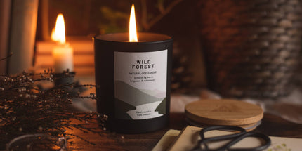 Wild Forest, Organic & Vegan Scented Candle | Ocoee House: Single Wick - Scottish Hampers