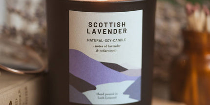 Scottish Lavender, Organic Scented Candle | Ocoee House: Single Wick - Scottish Hampers