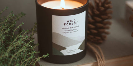 Wild Forest, Organic & Vegan Scented Candle | Ocoee House: Single Wick - Scottish Hampers