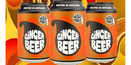 Ginger Beer - Paisley Drinks Co